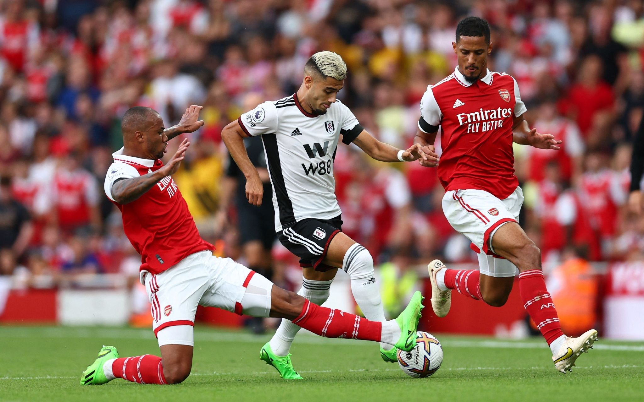 的比赛经历 的比赛经历